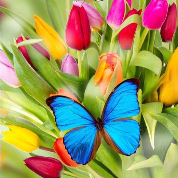 Meet your Posher, Cindy - Picture 1 of 2